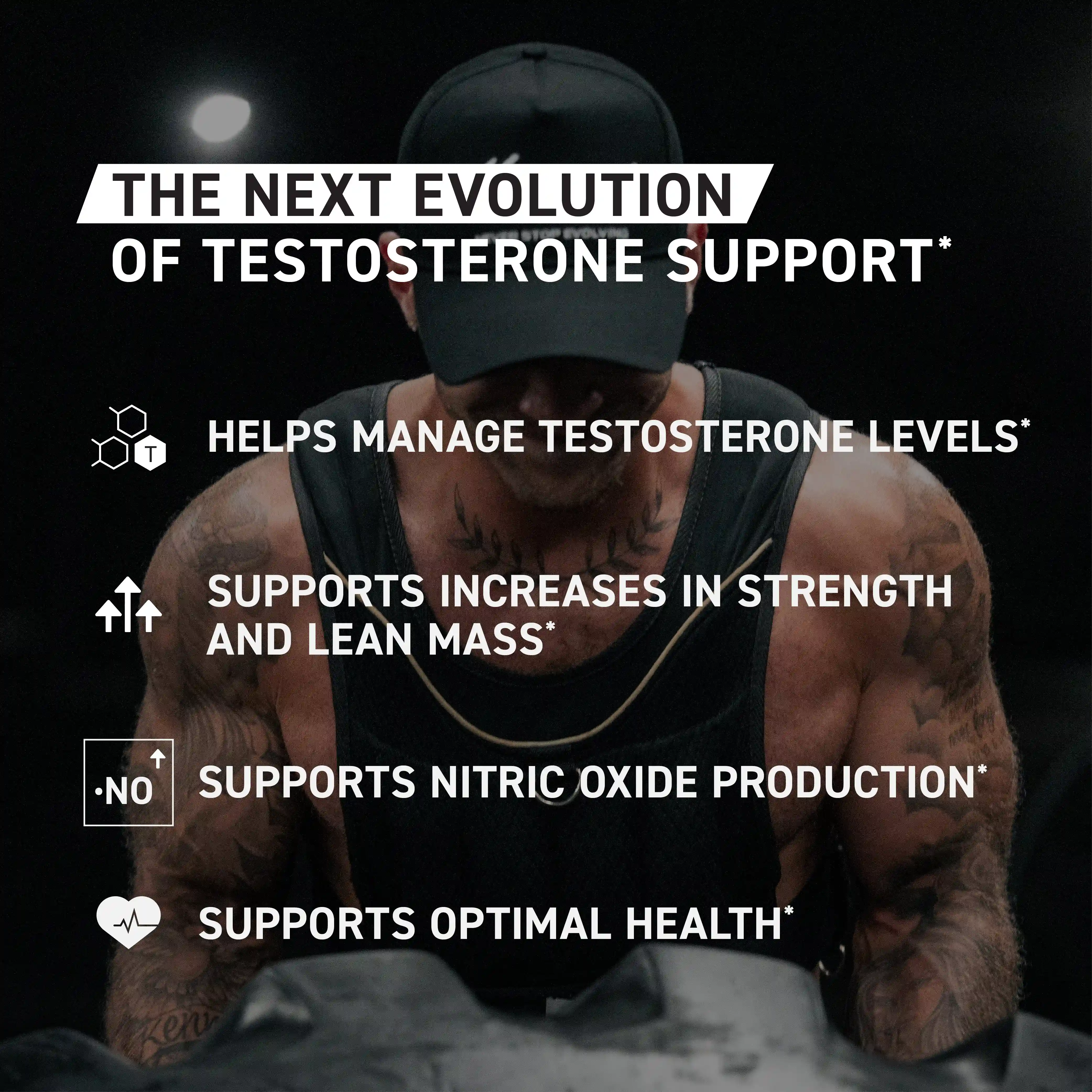 Alternative view of Test Elite